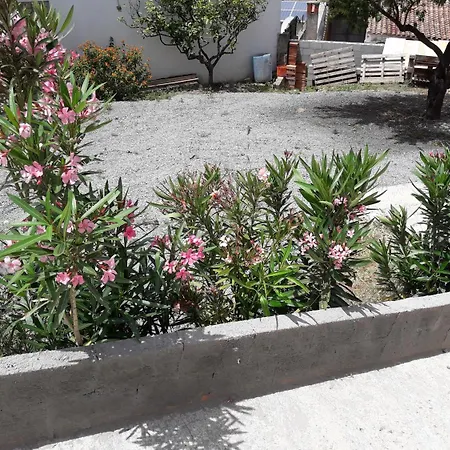 Rio Launaxi 툴라다